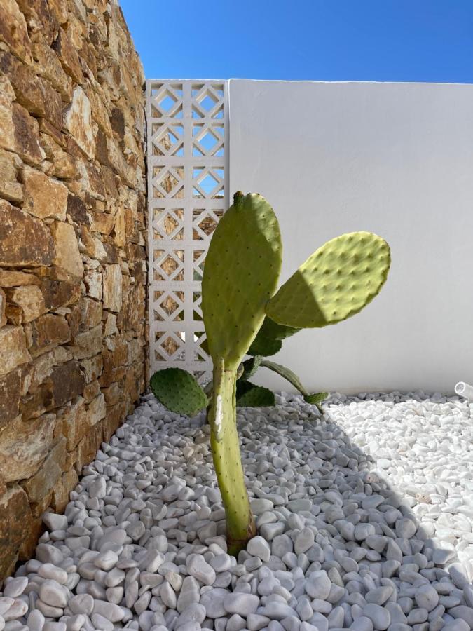 Kastro Antiparos Aparthotel Екстериор снимка