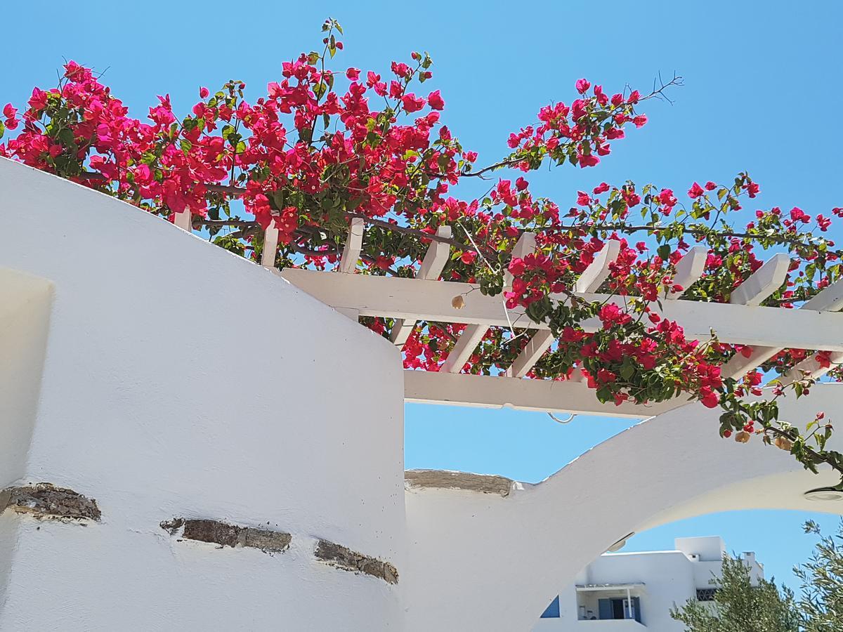 Kastro Antiparos Aparthotel Екстериор снимка